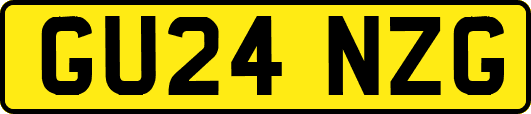 GU24NZG