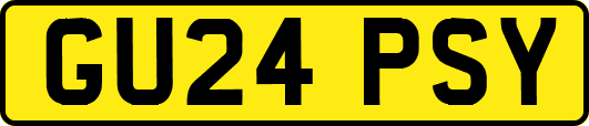 GU24PSY
