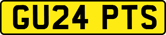 GU24PTS