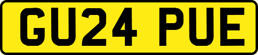 GU24PUE