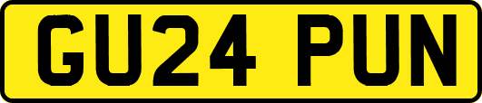 GU24PUN