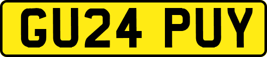 GU24PUY