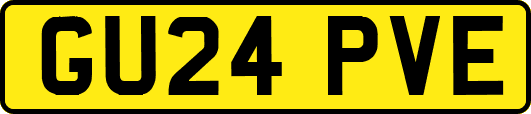 GU24PVE