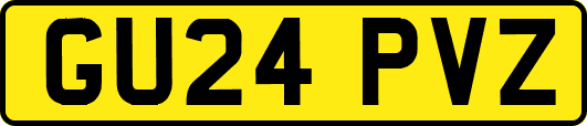 GU24PVZ