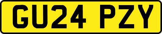 GU24PZY