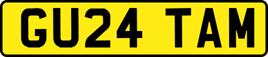 GU24TAM