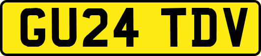 GU24TDV