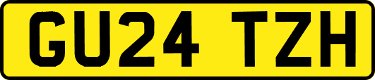 GU24TZH