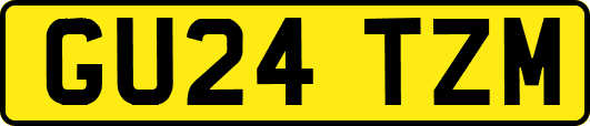 GU24TZM