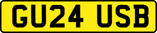 GU24USB