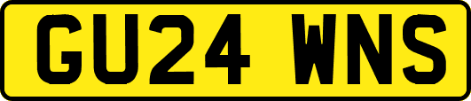GU24WNS