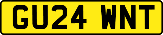 GU24WNT