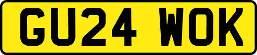 GU24WOK