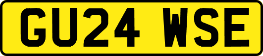 GU24WSE