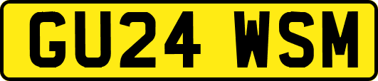 GU24WSM