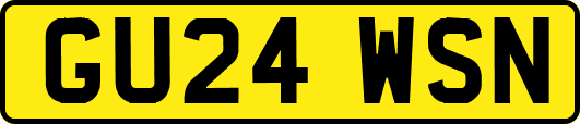 GU24WSN