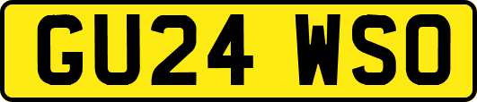 GU24WSO