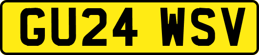 GU24WSV