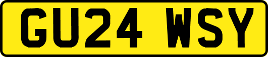 GU24WSY