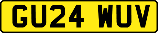 GU24WUV