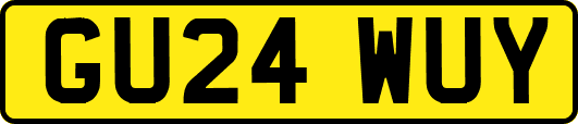 GU24WUY