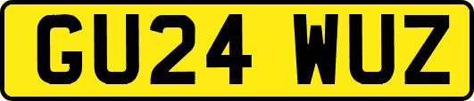 GU24WUZ