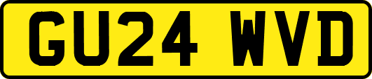 GU24WVD