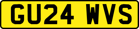 GU24WVS