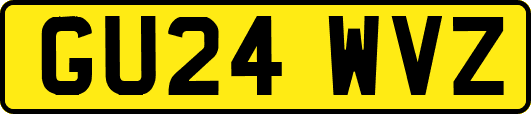 GU24WVZ