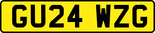 GU24WZG