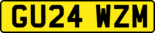 GU24WZM