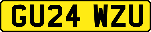 GU24WZU