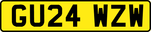 GU24WZW