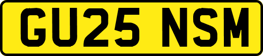 GU25NSM