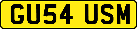 GU54USM