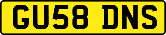 GU58DNS