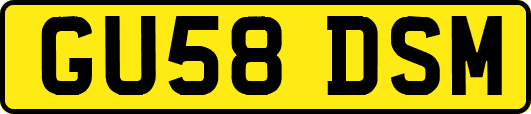 GU58DSM