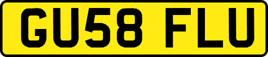 GU58FLU