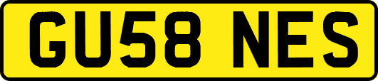 GU58NES