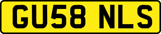 GU58NLS