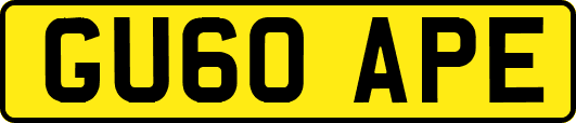 GU60APE