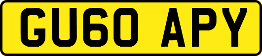 GU60APY