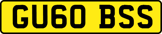 GU60BSS