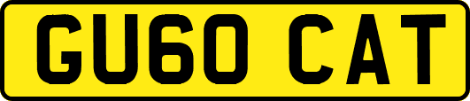 GU60CAT