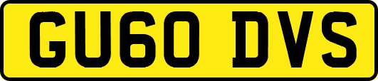 GU60DVS