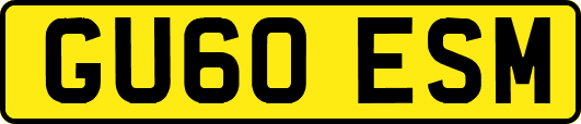 GU60ESM