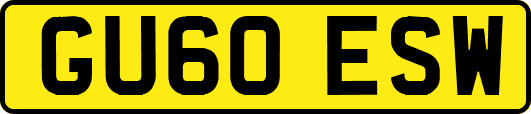 GU60ESW