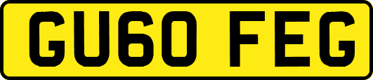 GU60FEG