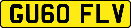 GU60FLV