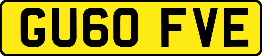 GU60FVE